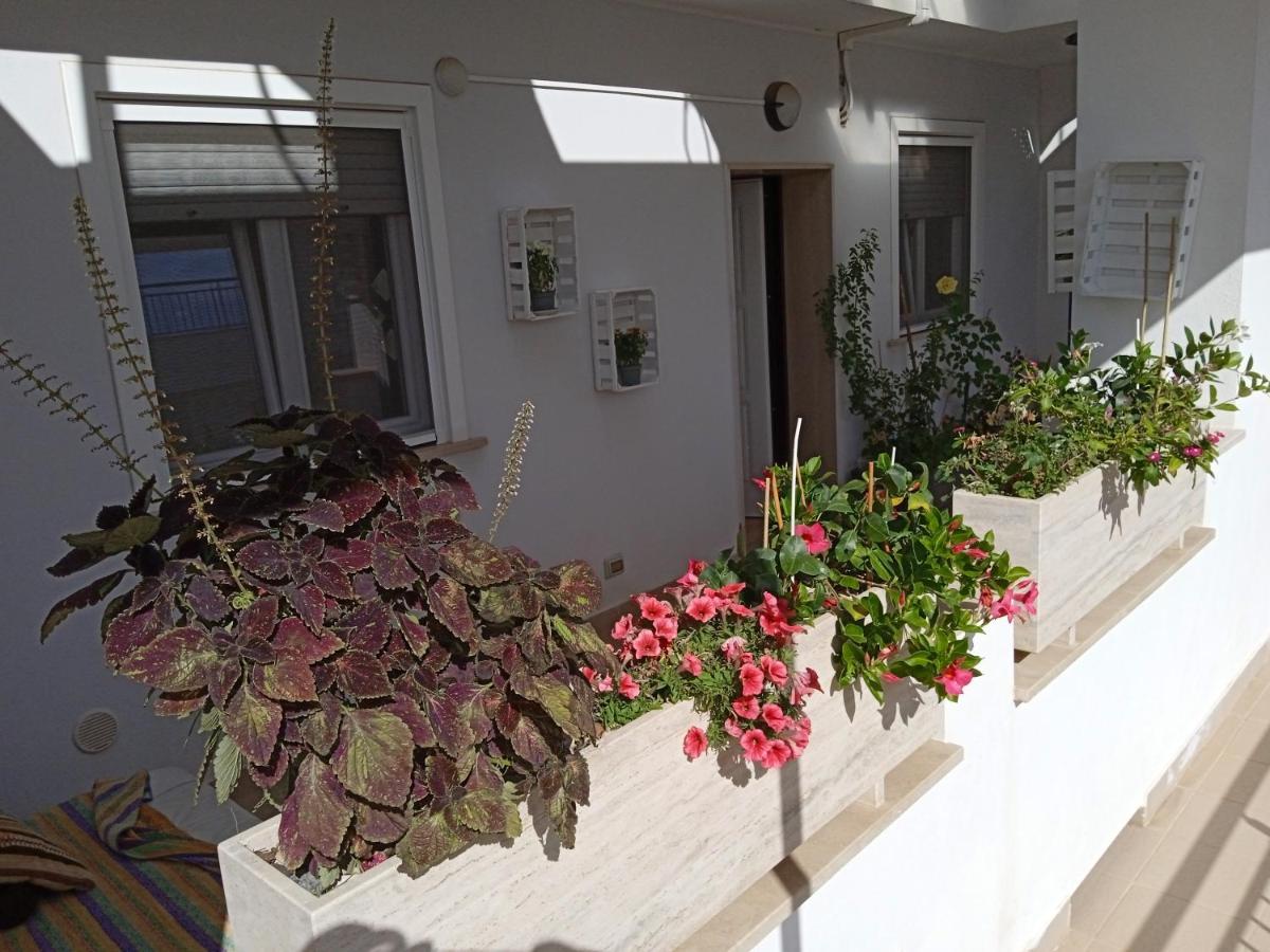 La Casa Di Elena Apartman Sannicandro di Bari Kültér fotó