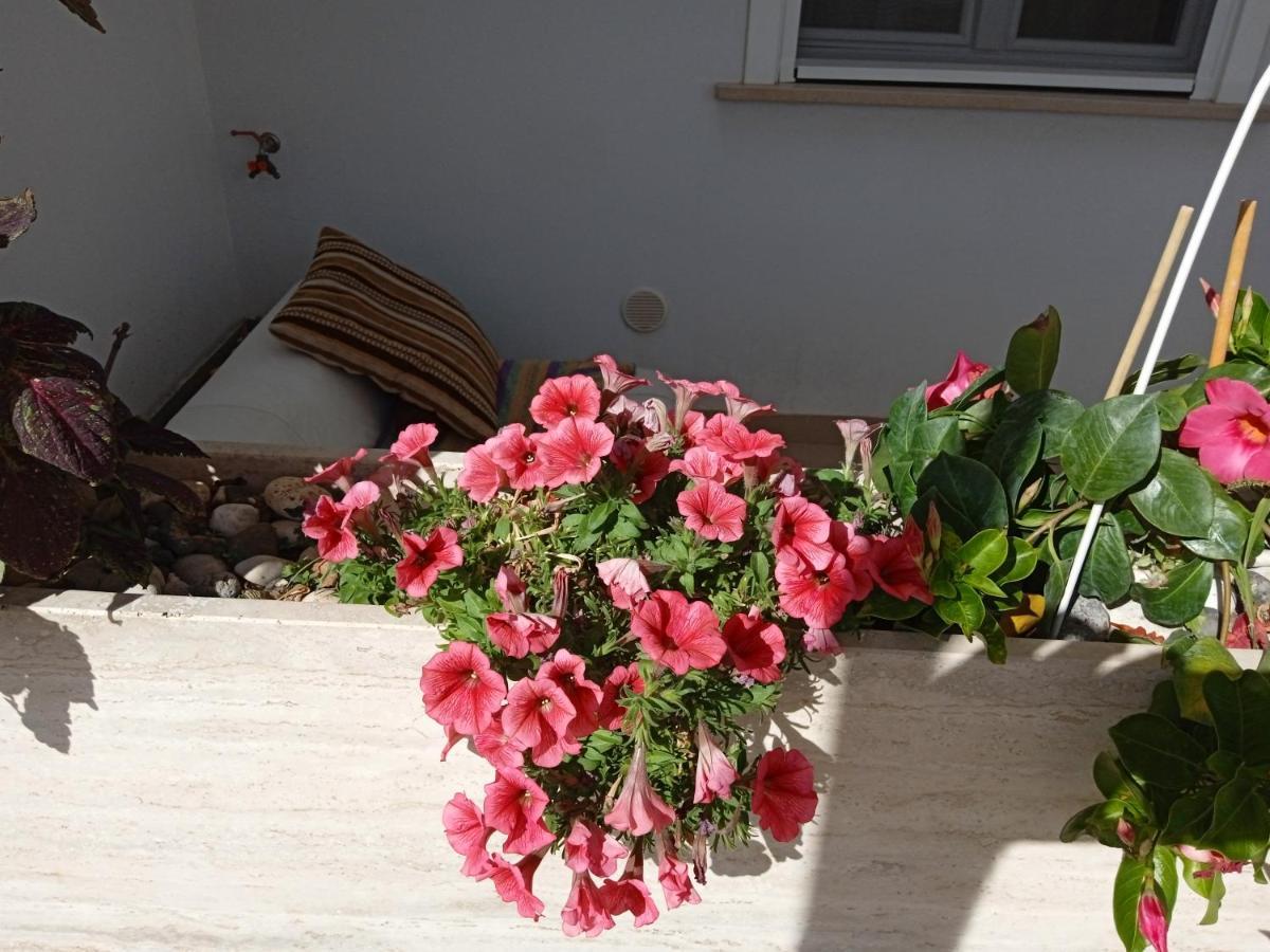 La Casa Di Elena Apartman Sannicandro di Bari Kültér fotó
