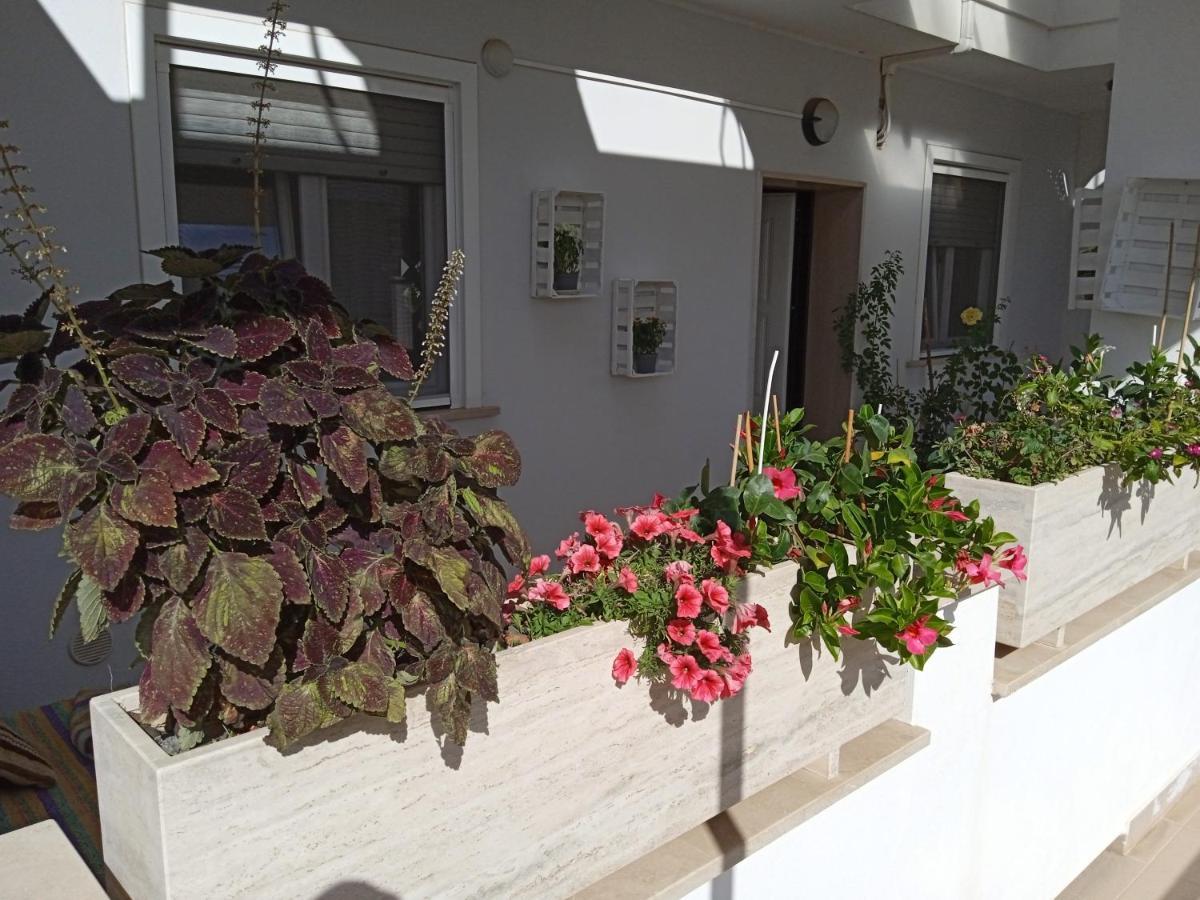 La Casa Di Elena Apartman Sannicandro di Bari Kültér fotó